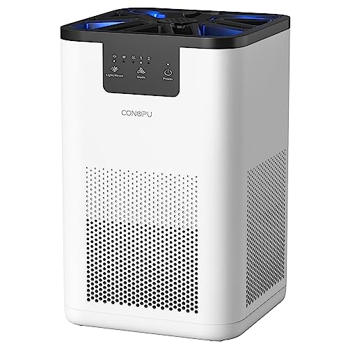 CONOPU Luftreiniger Allergiker HEPA H13 Filter, Air Purifier Aromat...