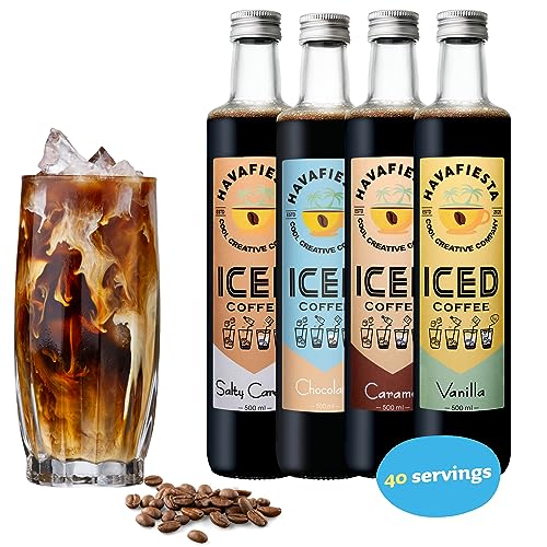 Havafiesta Eiskaffee Konzentrat | 4 x 500ml Reicht für 40 Kaffees ...