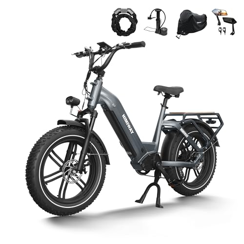 Himiway Big Dog Elektrisches Lastenfahrrad mit 250W Motor und 86 NM...