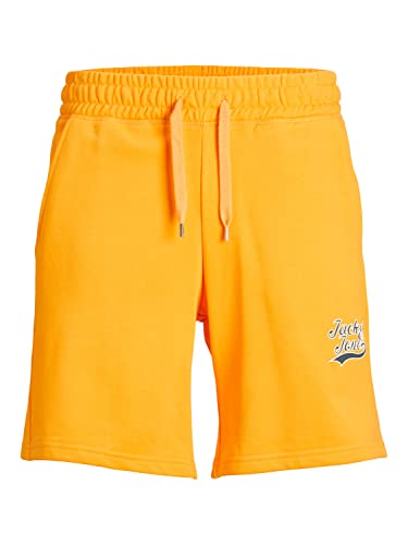 JACK & JONES Men s JPSTTREVOR Sweat Shorts GMS Sweatshorts, Iceland...