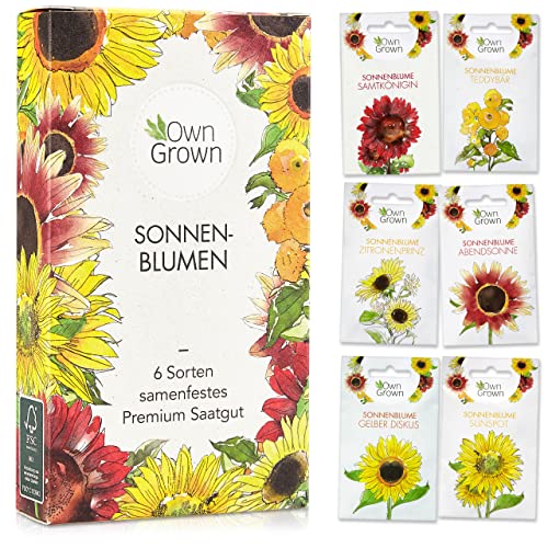 Sonnenblumen Samen Set : Sonnenblumen Saatgut mit 6 Sorten – Blum...