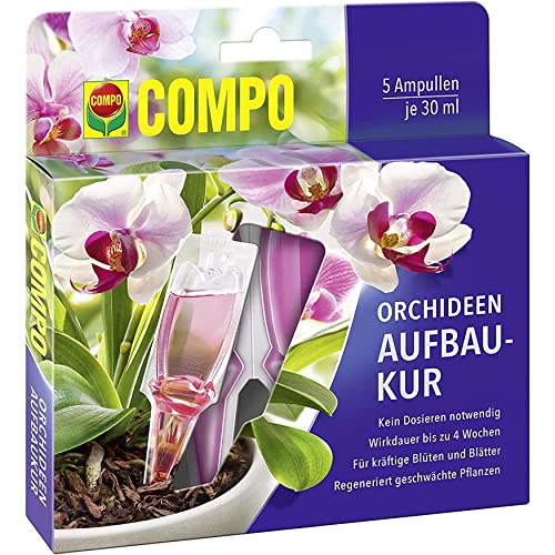 COMPO Orchideen-Aufbaukur für alle Orchideen-Arten, Orchideen-Dün...