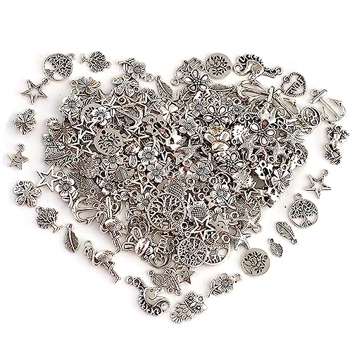 DAHI ca.160pcs metall Gemischte Charms zum Basteln,Charm Armband Se...