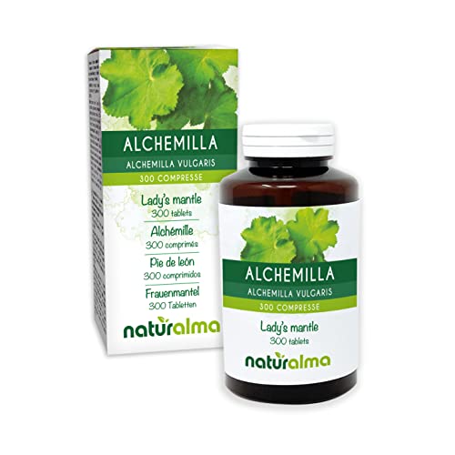 Frauenmantel (Alchemilla vulgaris) Kraut Naturalma | 150 g | 300 Ta...