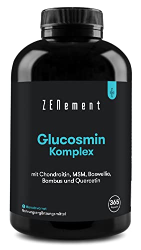 Glucosamin & Chondroitin Hochdosiert, 365 Kapseln mit Chondroitin, ...