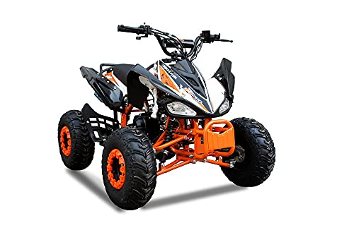 RV-Parts 125ccm Quad ATV Kinder Quad Pitbike 4 Takt Quad 7 Zoll KXD...