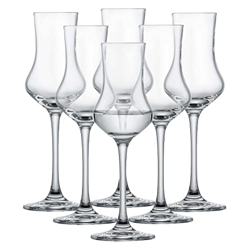 SCHOTT ZWIESEL Digestifset Classico (6er-Set), klassische Schnapsgl...