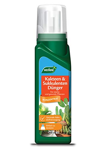 Westland Kakteen & Sukkulenten Dünger, 200 ml – Pflanzendünger ...