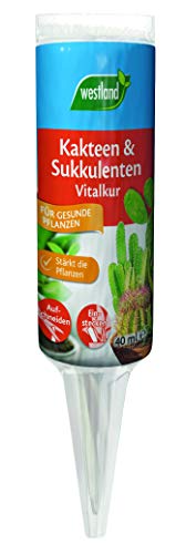 Westland Kakteen & Sukkulenten Vitalkur, 40 ml – Pflanzendünger ...